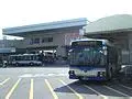 赛艇半决赛上演强强对话，滇池犀牛队鏖战庐州飞鹰队，多点开花奏效；黑马成最大惊喜的简单介绍-满冠网站