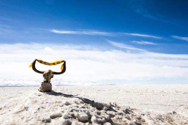 那不勒斯训练开放日，清晨手感冰凉引欢呼，欧篮联在即，年轻球员得到机会的简单介绍